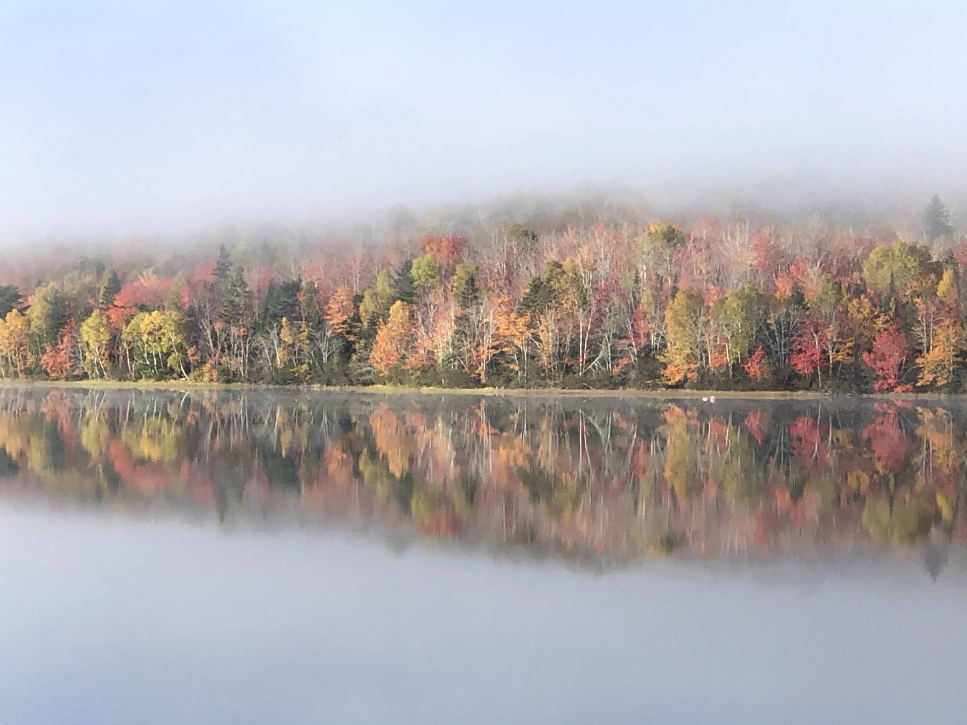 Morning on Lochiel Lake